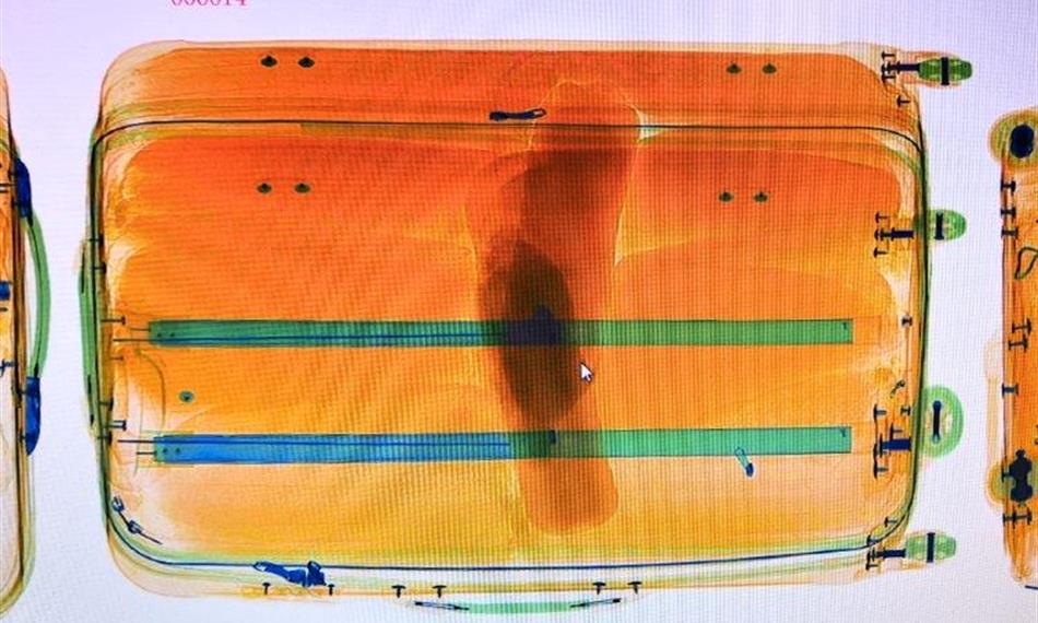 2019-5-30-831foto 1.jpg